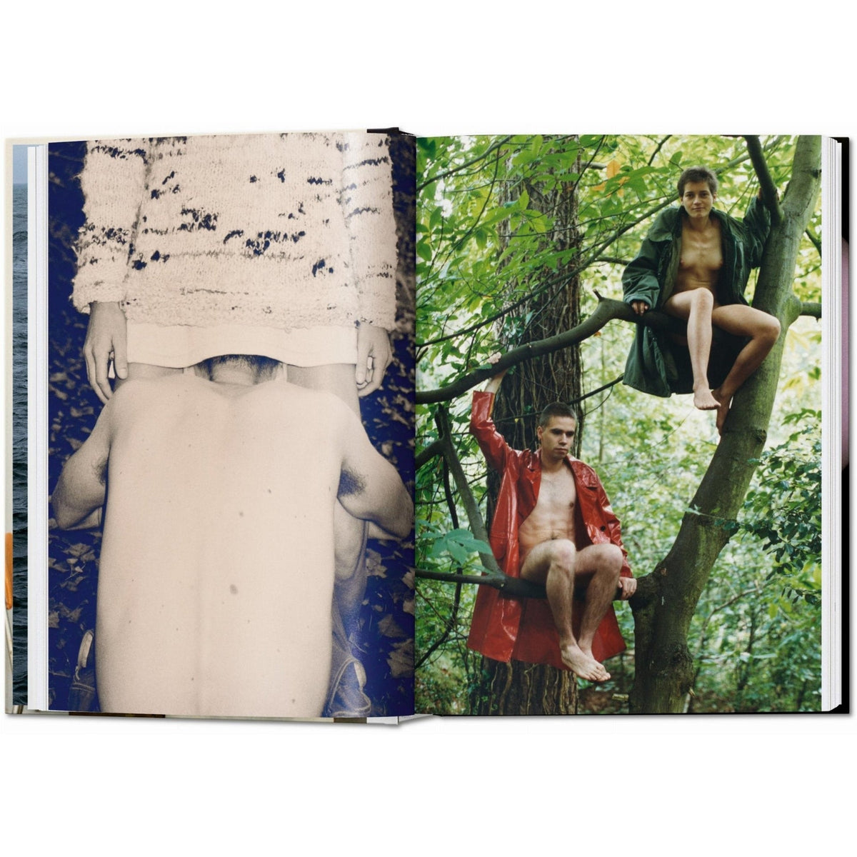 Wolfgang Tillmans. four books. 45th Ed. - Bücher - Taschen Verlag