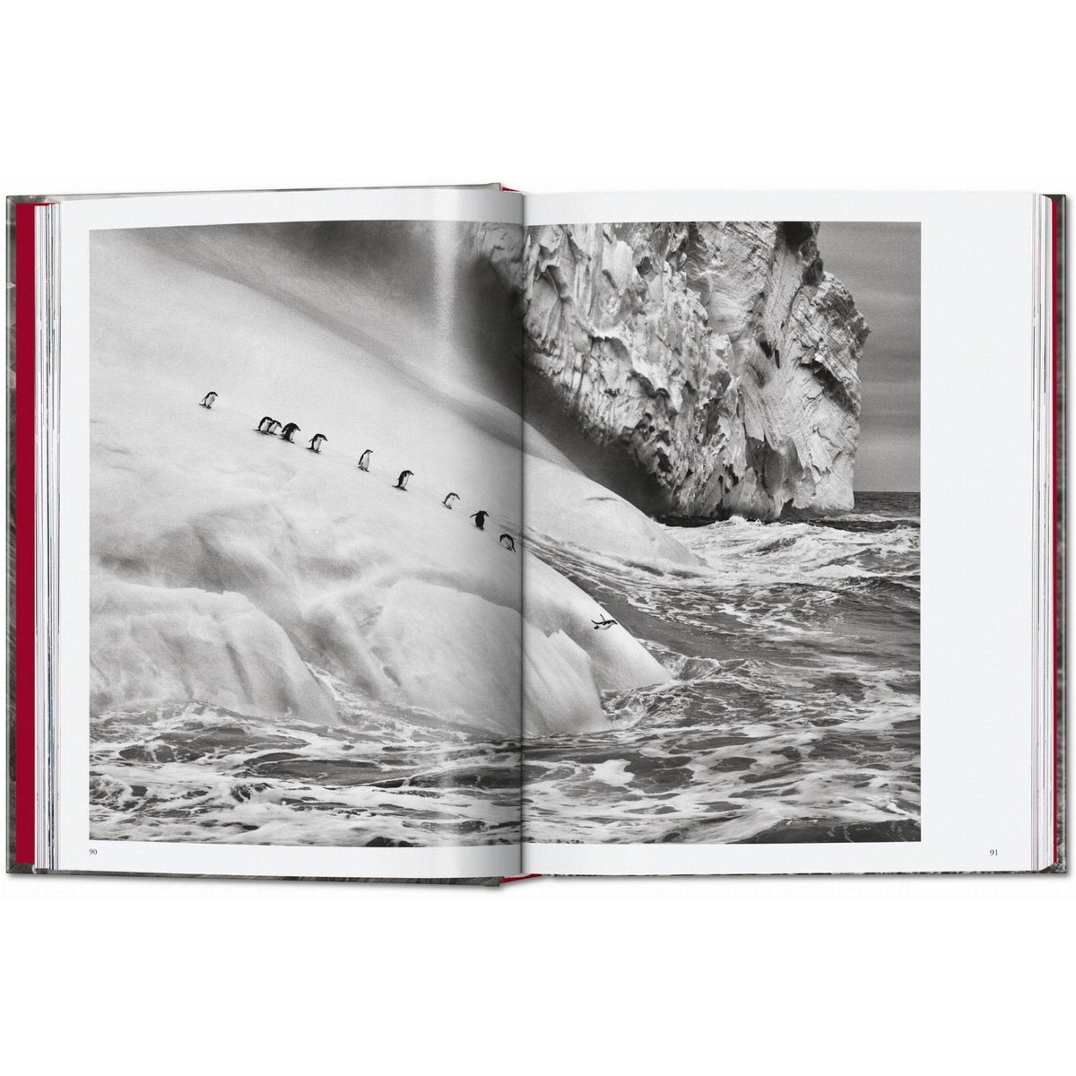 Sebastião Salgado. Genesis. 45th Ed. - Bücher - Taschen Verlag