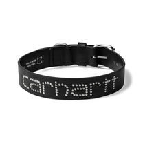 Carhartt WIP Script Studs Dog Collar Black - M/L