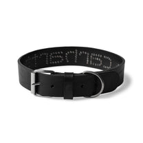 Carhartt WIP Script Studs Dog Collar Black - M/L