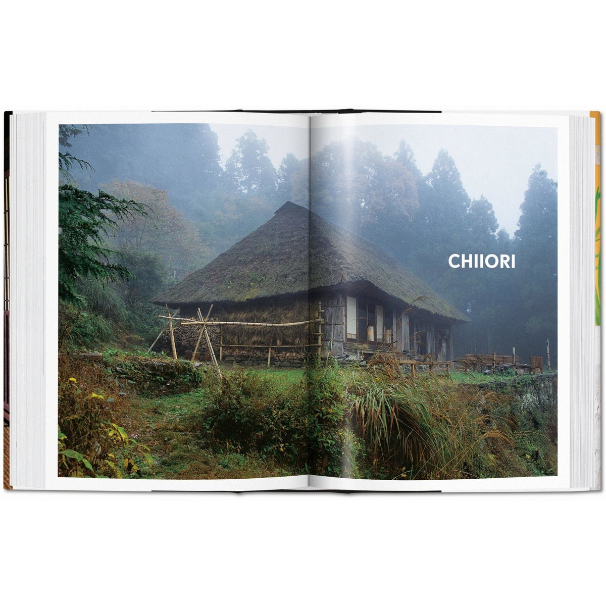 Living in Japan. 45th Ed. - Bücher - Taschen Verlag