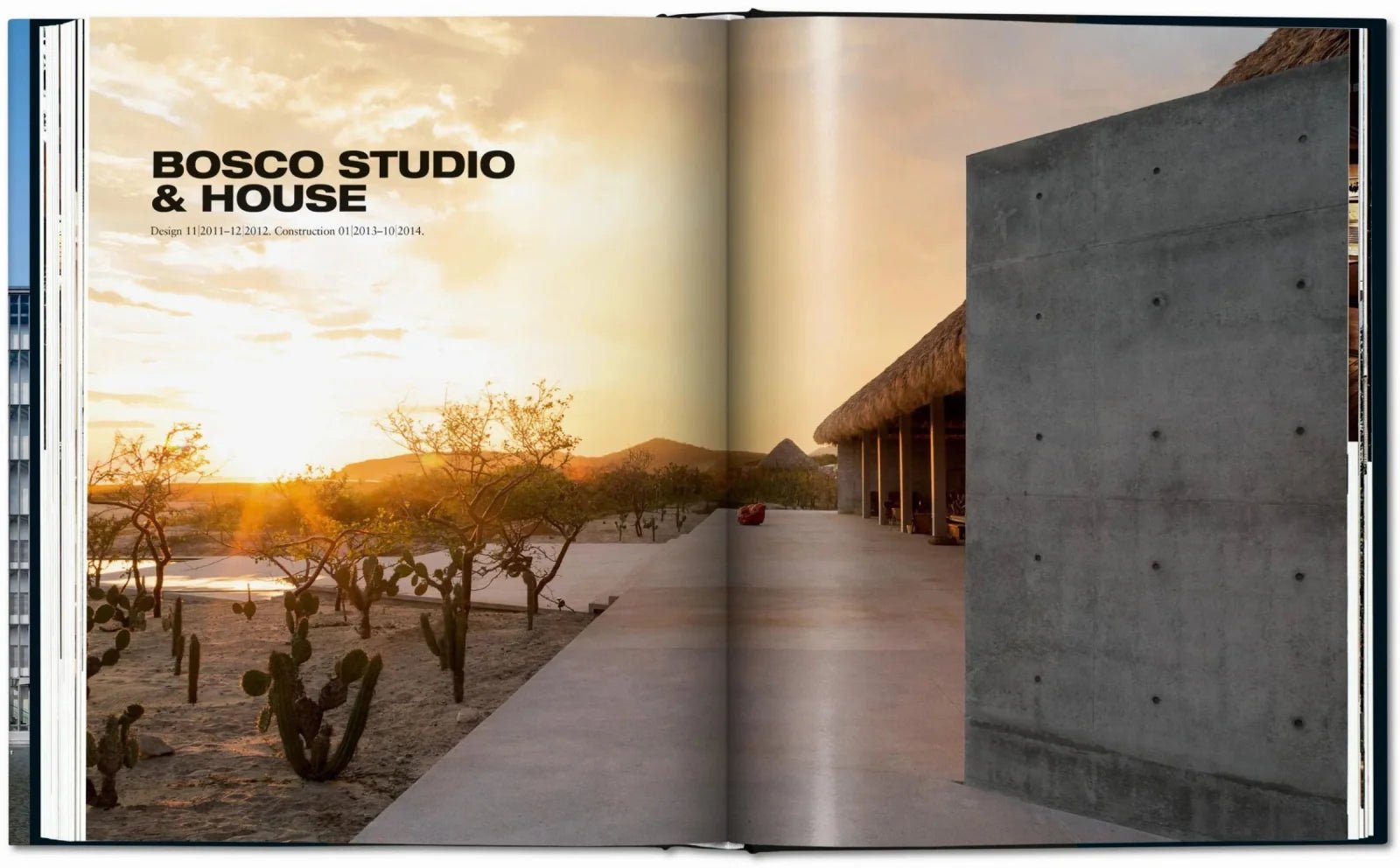 Ando. Complete Works 1975 - Today - TASCHEN