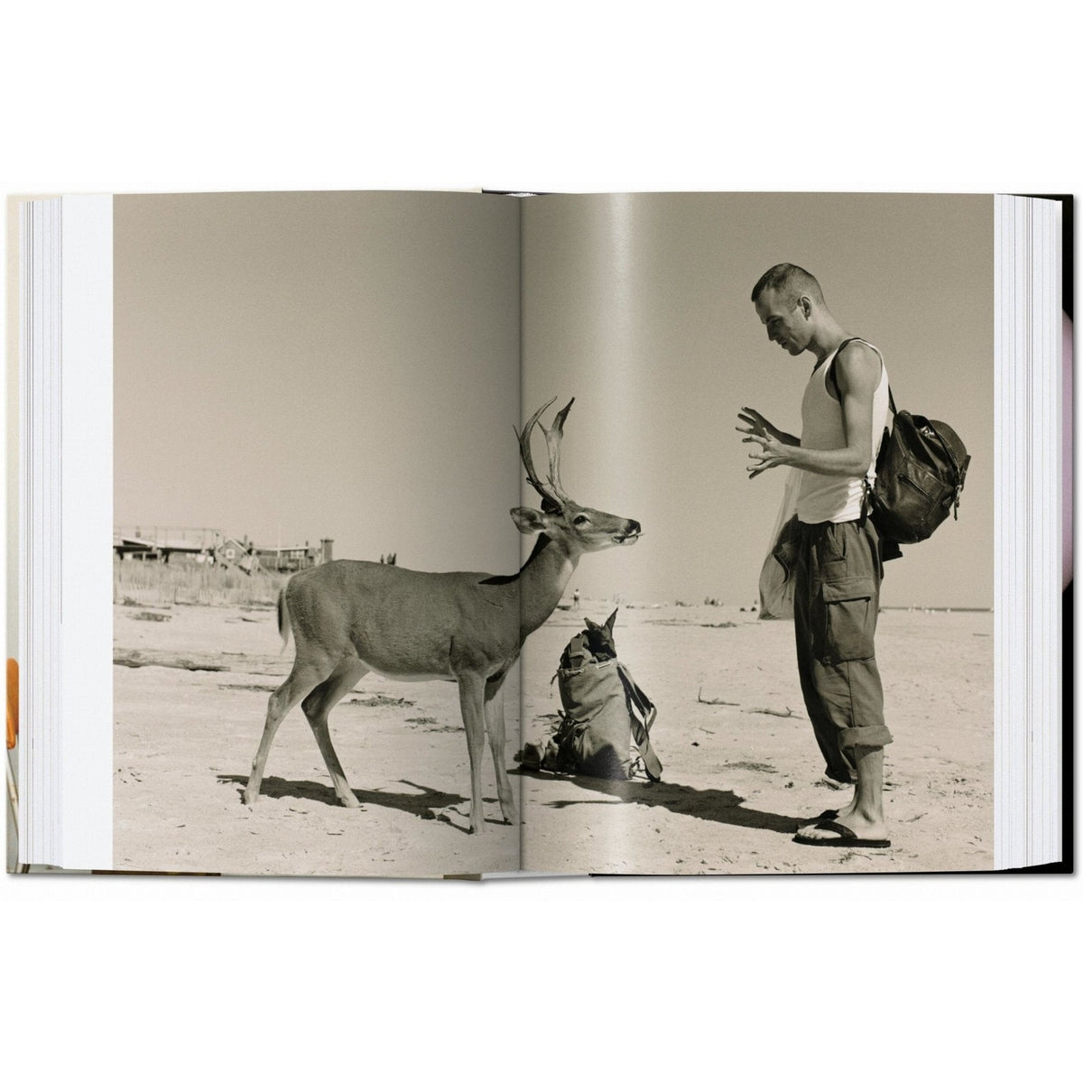 Wolfgang Tillmans. four books. 45th Ed. - Bücher - Taschen Verlag