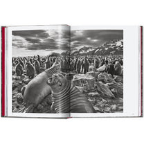 Sebastião Salgado. Genesis. 45th Ed. - Bücher - Taschen Verlag