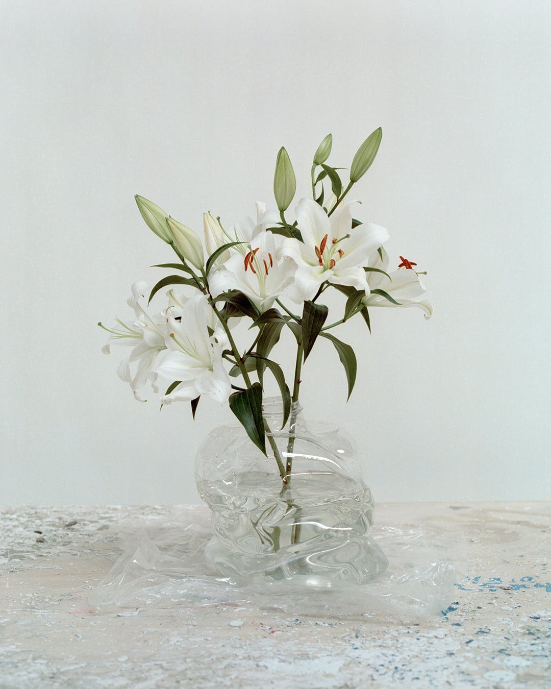 Eros Torso Classic Clear Vase - NIKO JUNE