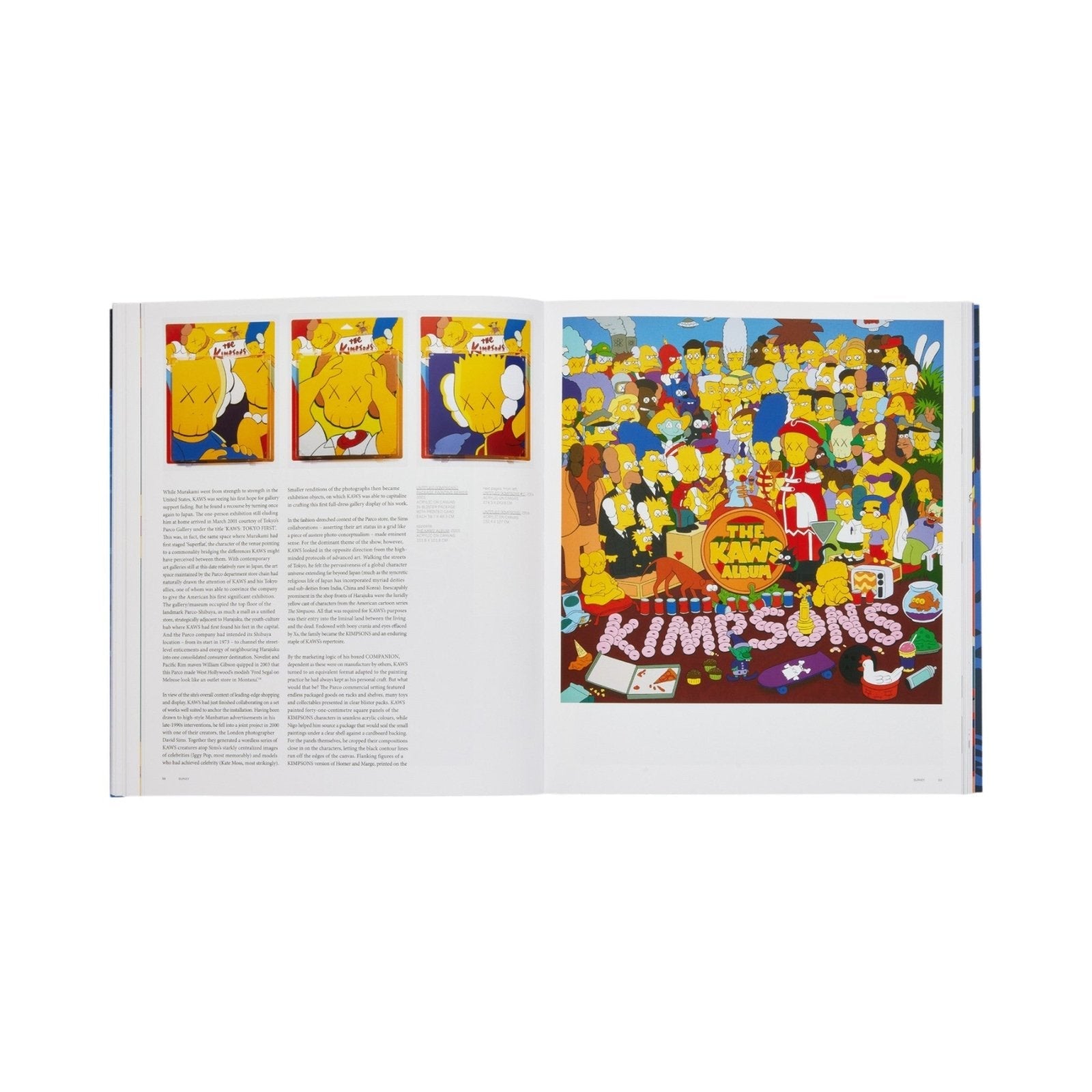 KAWS - Bücher - Phaidon
