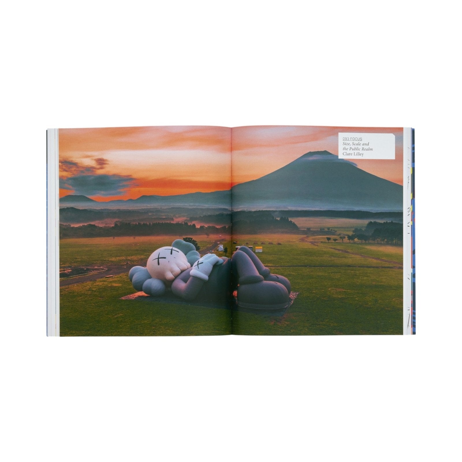 KAWS - Phaidon