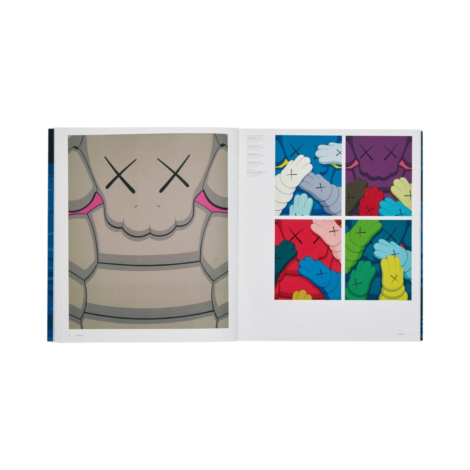 KAWS - Phaidon