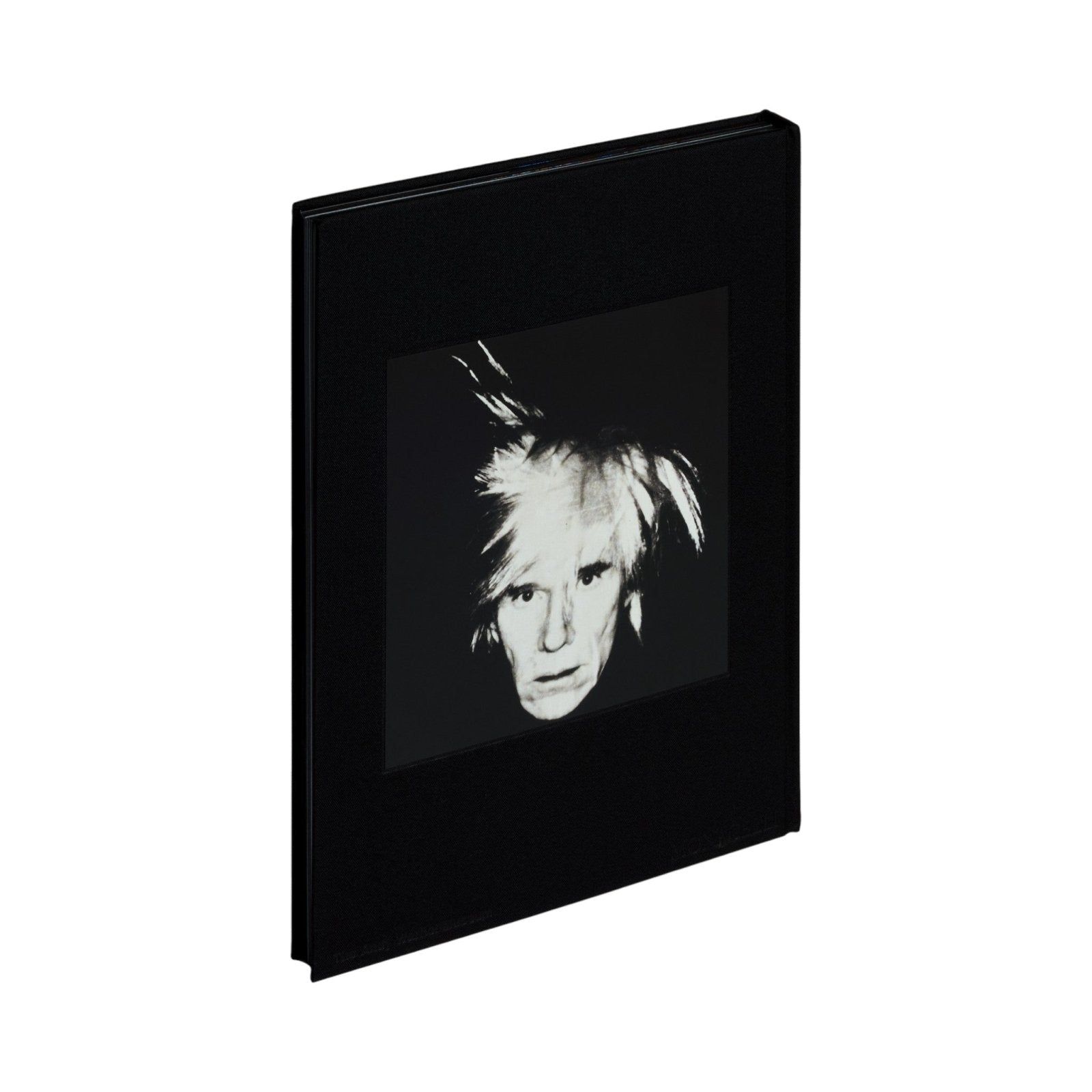 KAWS + Warhol - Phaidon