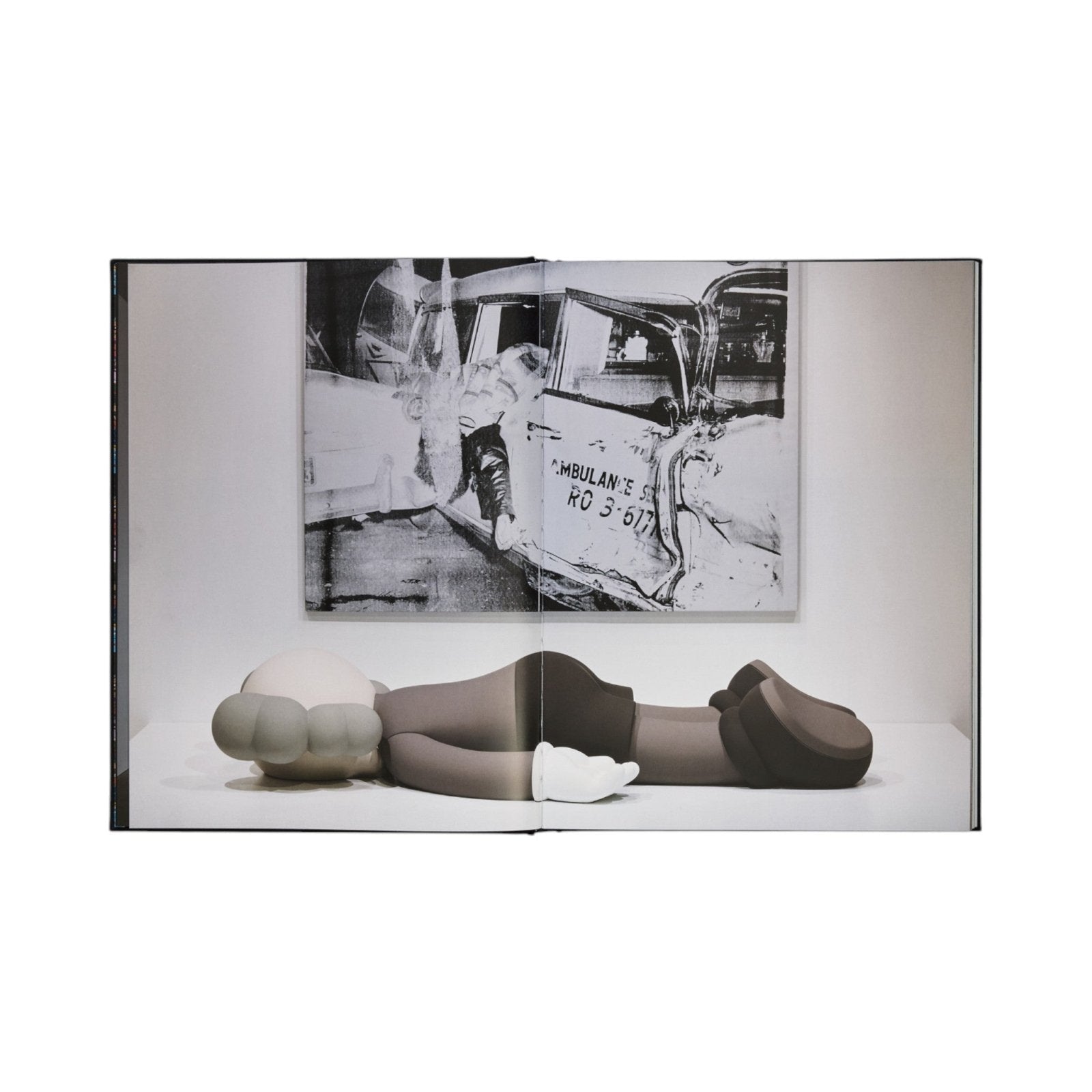 KAWS + Warhol - Bücher - Phaidon