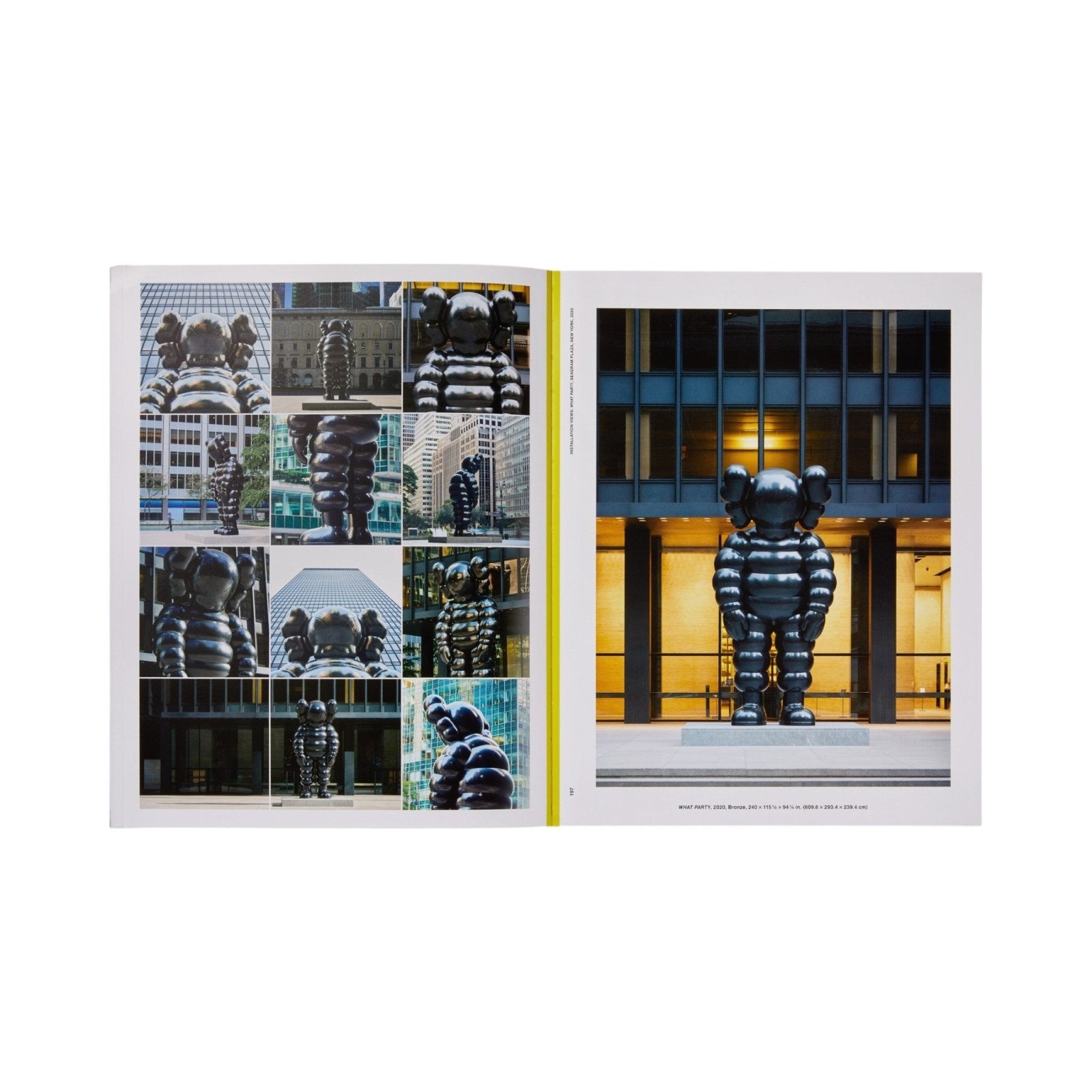 KAWS: WHAT PARTY - Black on Pink edition - Phaidon
