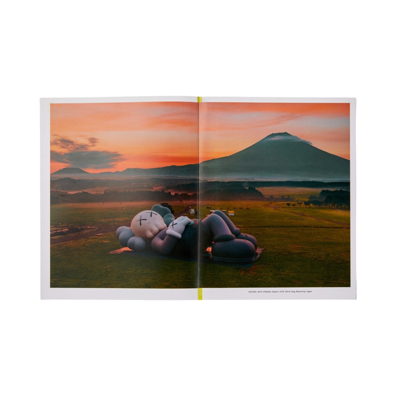 KAWS: WHAT PARTY - Black on Pink edition - Phaidon