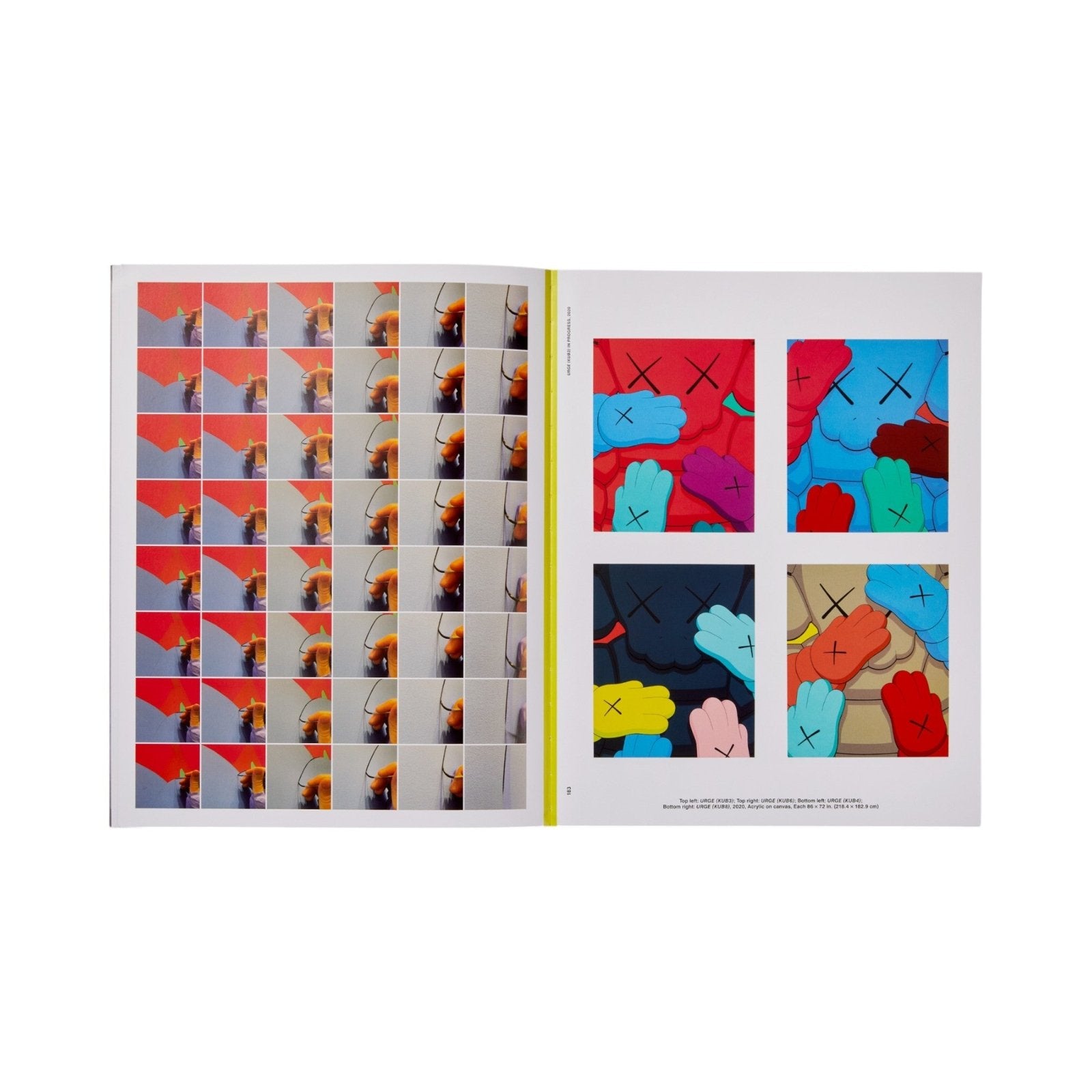 KAWS: WHAT PARTY - Black on Pink edition - Phaidon