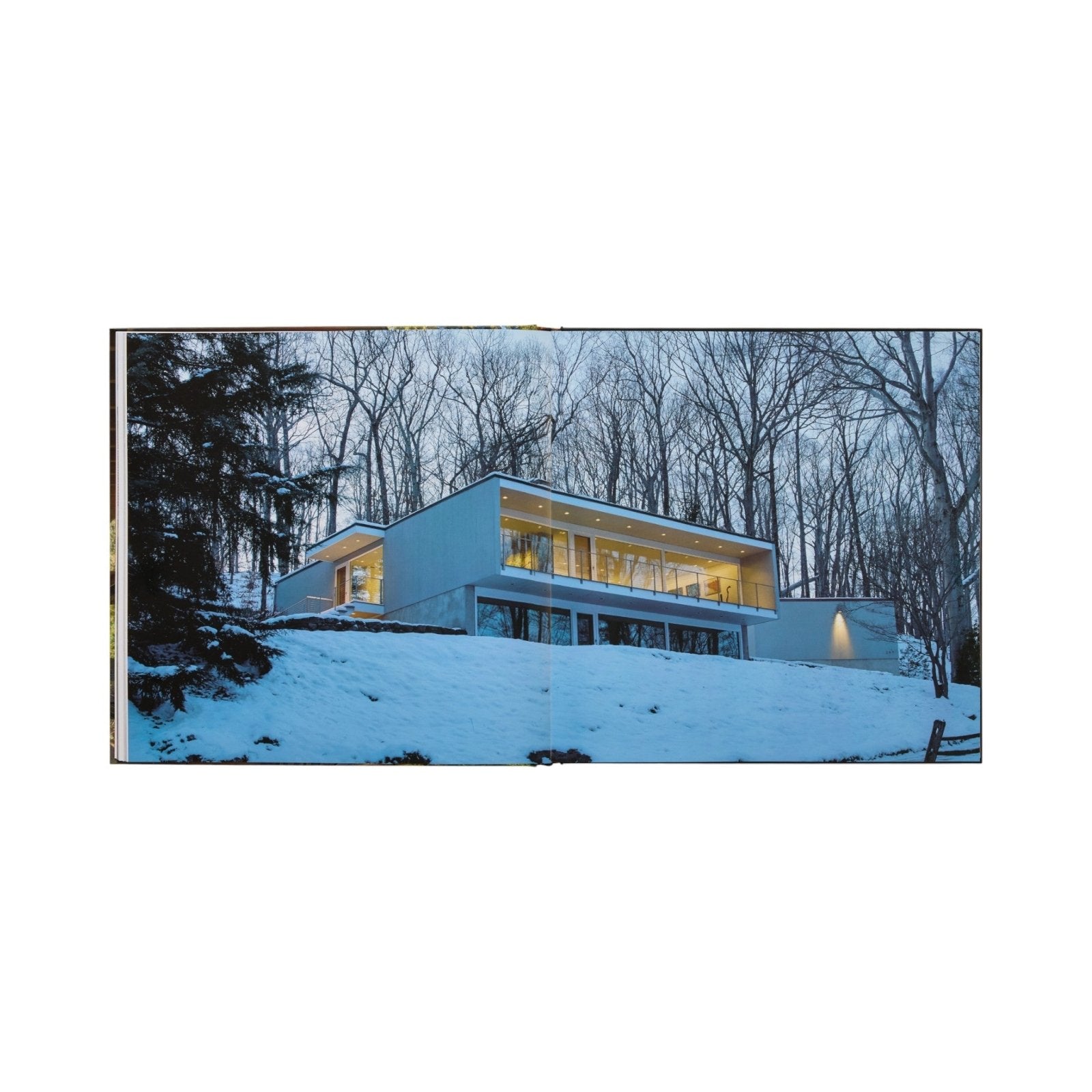 Midcentury Houses Today - Phaidon