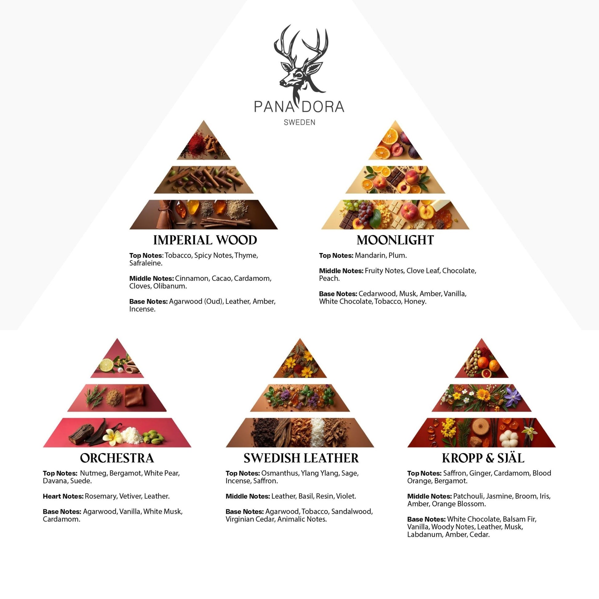 Pana Dora Travel Set 2026 - Pana Dora