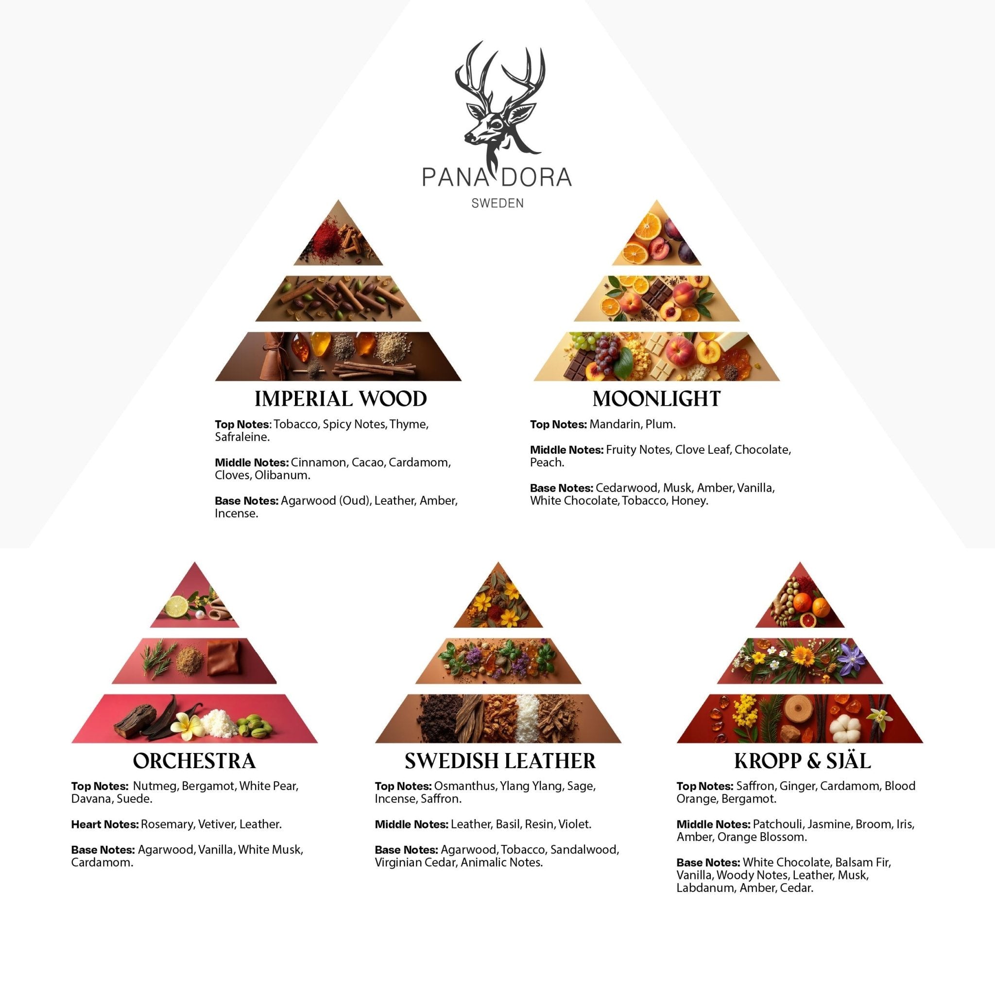 Pana Dora Travel Set 2026 - Pana Dora