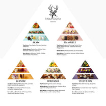 Pana Dora Travel Set 2026 - Pana Dora