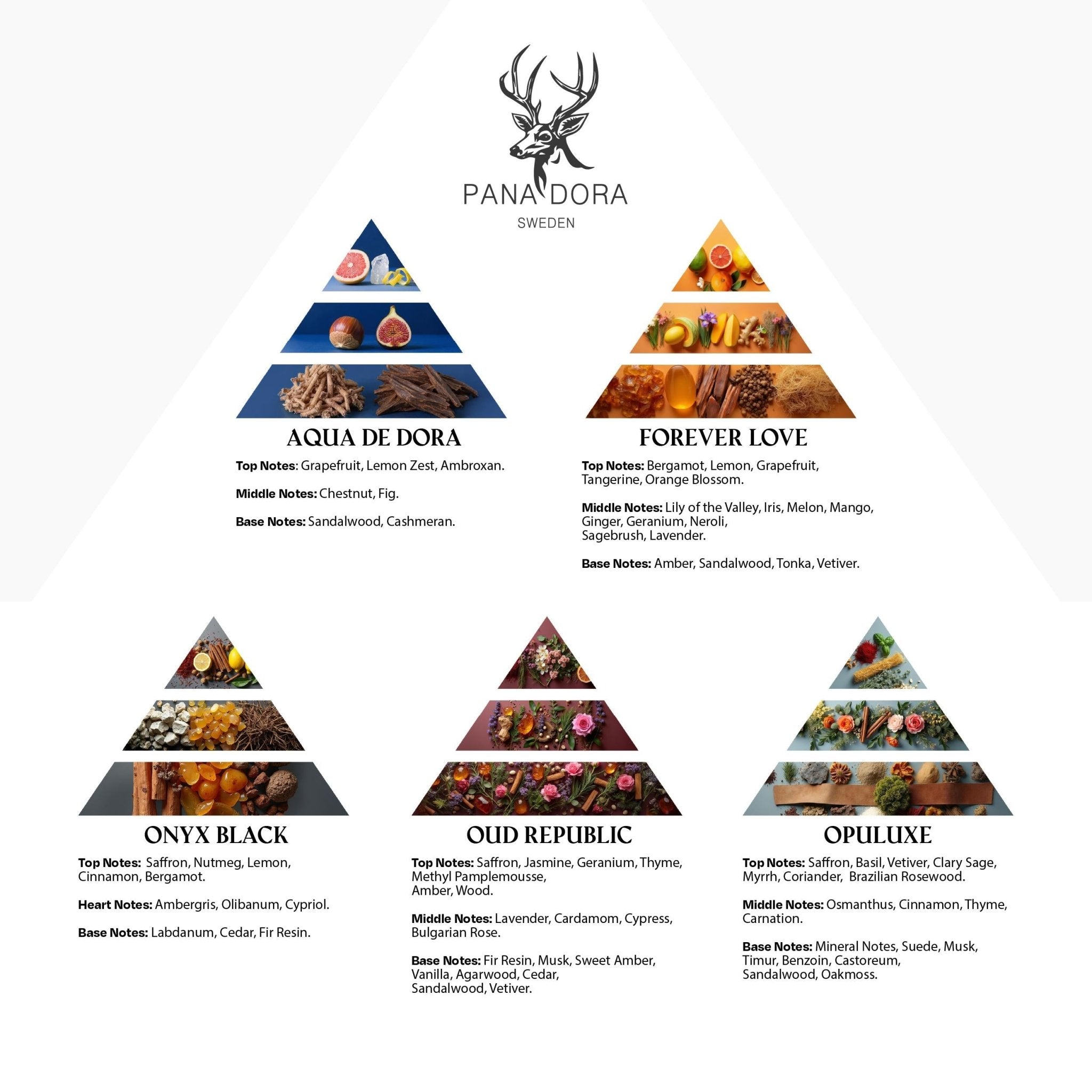 Pana Dora Travel Set 2026 - Pana Dora