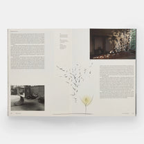 Paul Cocksedge: Reflections - Phaidon