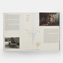 Paul Cocksedge: Reflections - Phaidon
