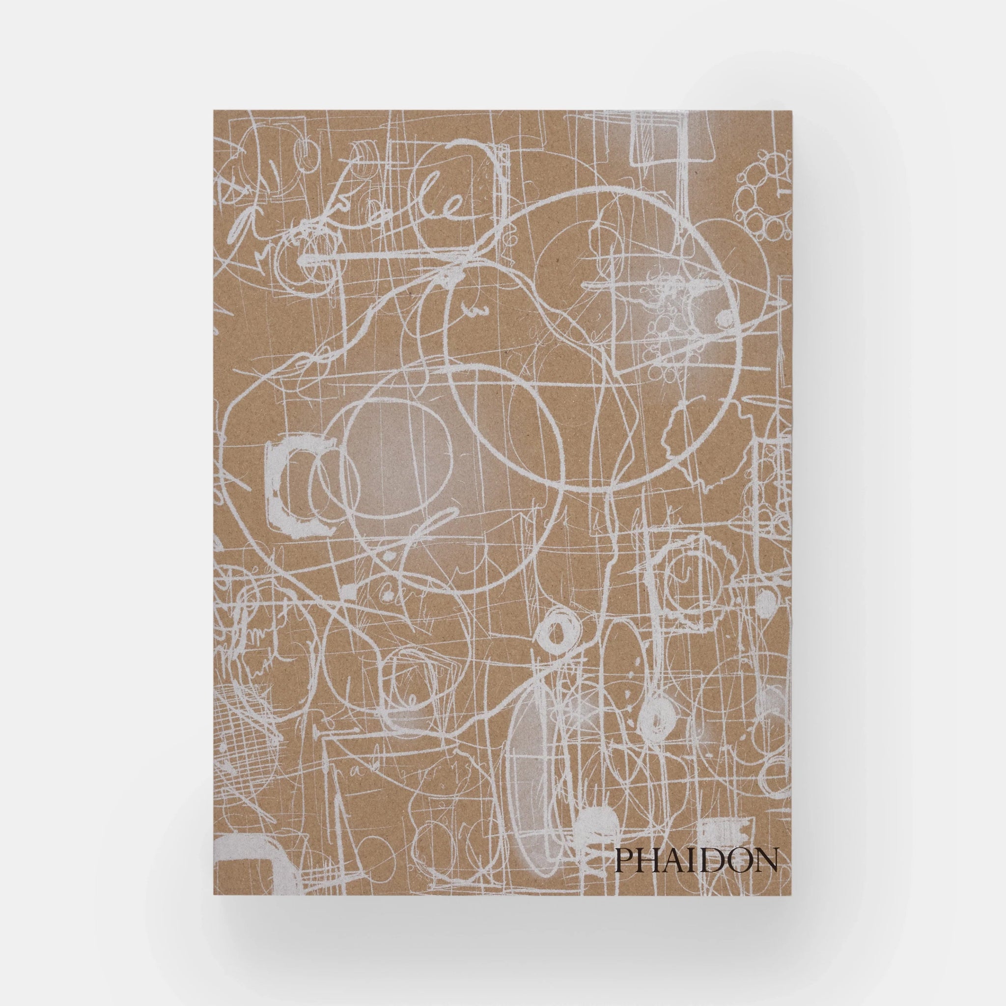 Paul Cocksedge: Reflections - Phaidon