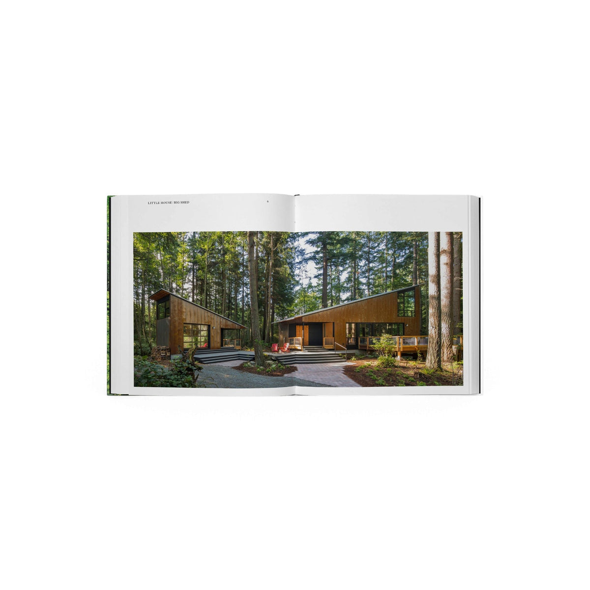 Living in the Forest - Bücher - Phaidon