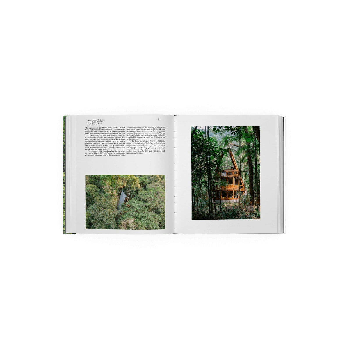 Living in the Forest - Bücher - Phaidon