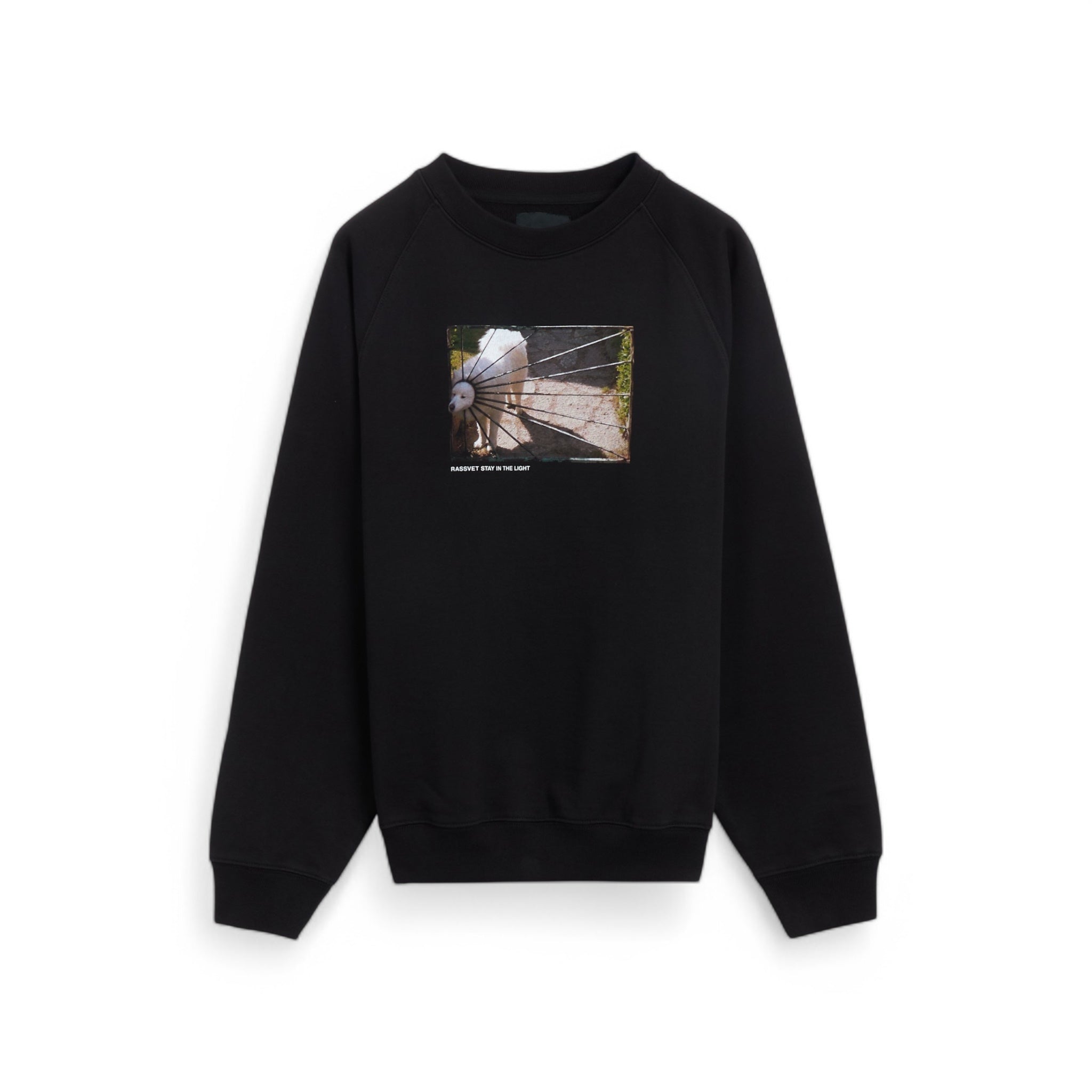 Rassvet Dog Sweater - Rassvet