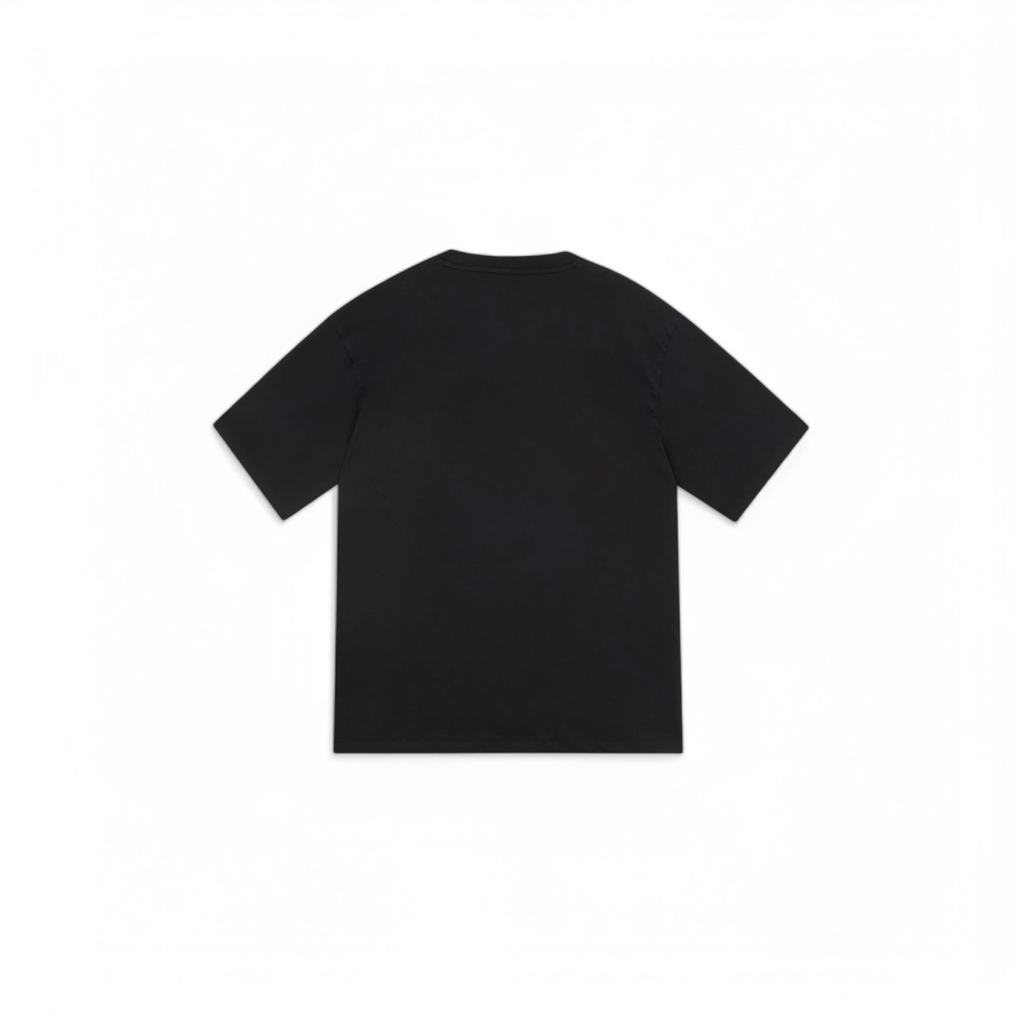 Ray Logo T-Shirt - Rassvet