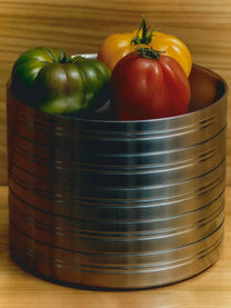 Stainless Steel Pasta Plate (Set of 2) - Service Projects