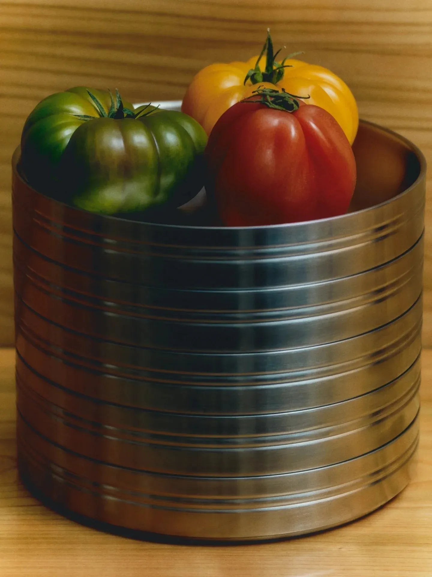 Stainless Steel Pasta Plate (Set of 2) - Service Projects