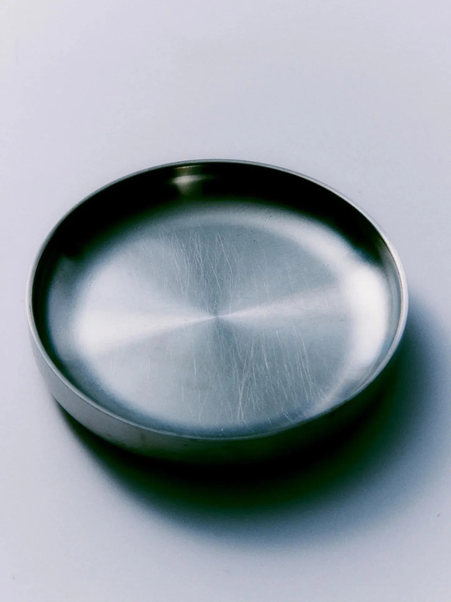 Stainless Steel Pasta Plate (Set of 2) - Service Projects